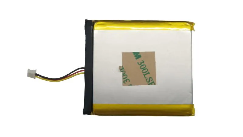 [314500001] Li-battery (DS-PA-Battery)
