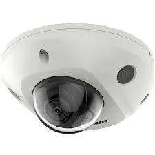 [311316895] Fixed Mini Dome Network  Camera