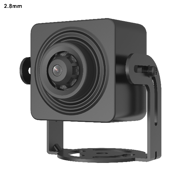 Covert Network Camera (DS-2CD2D45G1/M-D/NF)